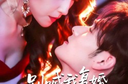 《别喊我复婚，我的醋精老公超难哄》(89集) 言情短剧全集免费在线看