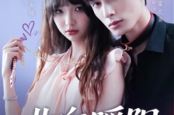 《北向暖阳》(80集) 爱情短剧全集免费赏看