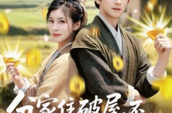 《分家住破屋，不，我银子都花不完》(80集) 励志短剧全集在线观看