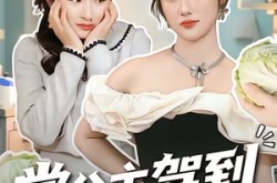 《掌公主驾到，统统闪开》(75集) 古风短剧全集免费观看  