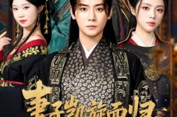 《妻子凯旋而归，却身怀六甲》(80集) 都市短剧全集高清在线看