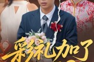 《彩礼加了8万8》(54集) 现实短剧免费全集高清看