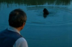 《鱼坑》(30集) 乡村题材短剧全集高清观看