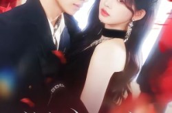 《偷情报三年，死敌竟是唯一读者》(101集) 谍战短剧全集高清观看