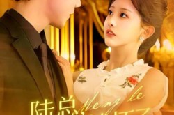 《陆总，夫人她怀了您的崽》(89集) 总裁短剧全集在线看