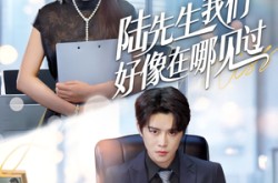 《陆先生我们好像在哪见过》(70集) 浪漫短剧全集在线畅享