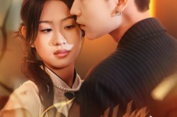 《野犬吻玫瑰》(70集) 情感短剧全集高清观看  