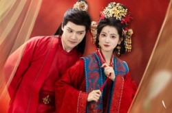 《醉卧美人膝》(66集) 经典短剧全集在线观看