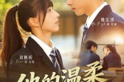 《他的温柔藏了多年》(60集) 情感短剧全集高清观看  