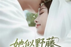 《她似野藤，缠绕而上》(51集) 爱情短剧全集免费在线看