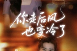 《你走后风也变冷了》(73集) 虐恋短剧全集百度网盘看