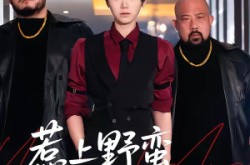 《惹上野蛮大小姐》(100集) 喜剧短剧全集在线免费看