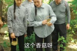 《老太重生带全家吃饱穿暖》(74集) 重生短剧免费全集高清观看