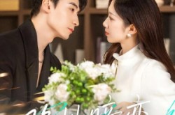 《隐性暗恋》(100集) 都市短剧全集高清观看