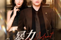 《暴力罗曼史》(62集) 都市爱情短剧全集在线看  