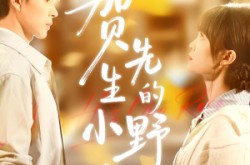 《贺先生的小野玫瑰》(99集) 爱情题材短剧全集免费在线看