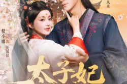 《太子妃天亮了》(80集) 宫廷短剧全集无删减观看