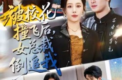 《被校花撞飞后，女总裁倒追我》(80集) 情感短剧全集免费在线赏