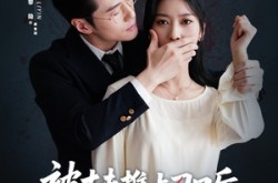 《复婚抱歉我只谈判不谈情》(65集) 都市爱情短剧全集免费赏