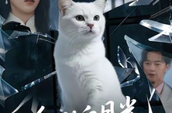 《他的白月光是只猫》(69集) 萌系短剧全集免费在线观看