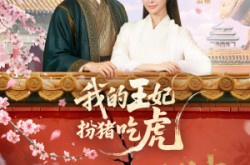 《我的王妃扮猪吃虎》(79集) 历史短剧全集在线赏看