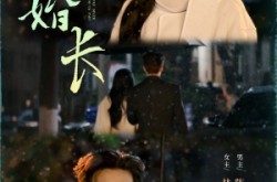 《地久婚长》(69集) 情感短剧全集高清观看  