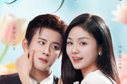 《婚情已久》(80集) 都市情感短剧免费看全集