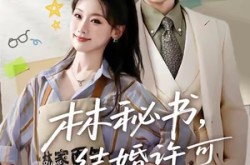 《林秘书，结婚许可请盖章》(62集) 职场短剧全集免费观看