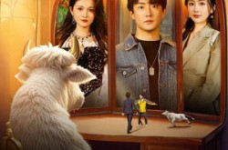 《我能倾听动物心声》(50集) 奇幻短剧全集免费在线看