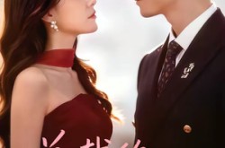 《总裁的替身秘书》(69集) 都市短剧全集在线完整看