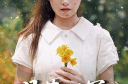 《月落沉冤今当昭雪》(60集) 悬疑短剧全集夸克网盘看