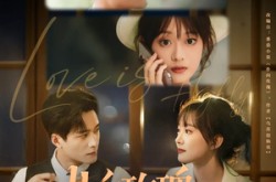 《扑向玫瑰》(77集) 言情短剧全集在线畅看  