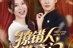 《撩错人攀高门》(73集) 情感短剧全集免费在线畅看