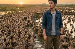 《我的三千只麻鸭》(39集) 农村题材短剧全集免费看  