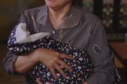 《开局瘸腿狩猎致富娶村花》(87集) 励志短剧全集免费观赏