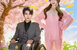 《沈总，请签收你的小太阳》(80集) 都市爱情短剧全集在线观看