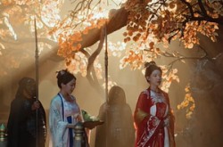 《青鸟衔恨生》(61集) 情感短剧全集免费追剧