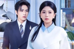 《面试走错屋，我闪婚了京圈太子爷》(80集) 都市爱情短剧全集观看