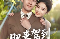 《肥妻驾到接招吧老公》(70集) 喜剧短剧全集免费畅看