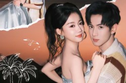《少夫人来自东北》(80集) 喜剧短剧全集在线看