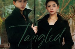 《港城不眠》(87集) 都市情感短剧全集在线看