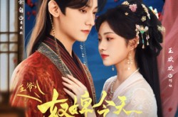 《王爷奴婢今天又要作妖了》(69集) 宫斗短剧全集在线畅看