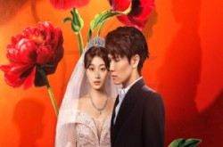 《金燕还巢当感恩》(55集) 励志短剧全集免费观看