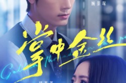 《掌中金丝》(60集) 情感短剧全集免费在线看