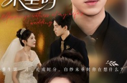 《老婆婚礼，我当证婚人》(54集) 都市短剧全集夸克网盘看
