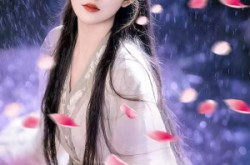 《花妖传》(34集) 妖灵短剧全集免费在线观