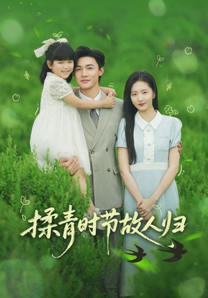 揉青时节故人归（60集）短剧有好货推荐