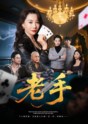 老手（36集）在哪个平台能看短剧