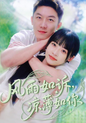 风雨如诉凉薄如你（70集）好看短剧每天更新