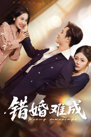错婚难成（45集）新剧来袭热门短剧推荐